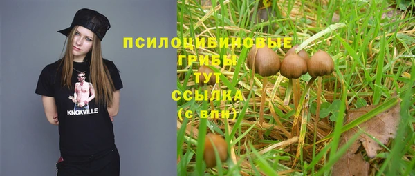 гидропоника Алексеевка