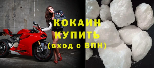 шишки Абаза