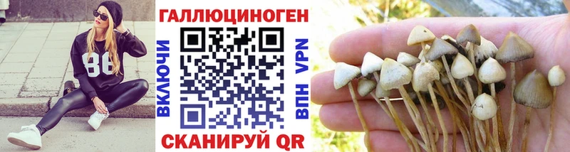 Псилоцибиновые грибы ЛСД OMG ONION Томари